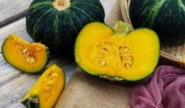 网红吃小瓜,趣味横生引网友热议