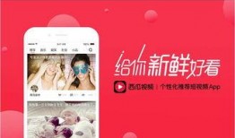 吃瓜天鹅天天爆料视频大全,视频爆料大全精彩回顾